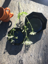 Load image into Gallery viewer, Arcoroc small black glass bowls
